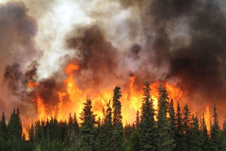 Mining Sector Faces Repeated Disruptions as Wildfires Burn Across Canada