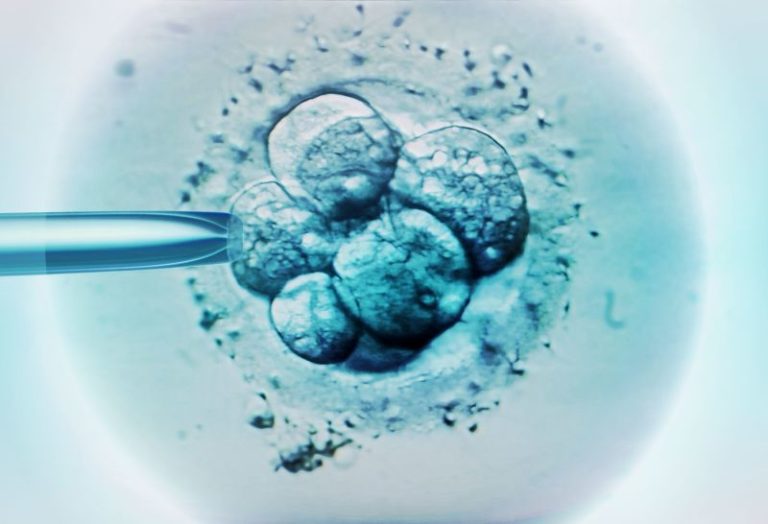 Woman gives birth to another couple’s child after IVF mix-up